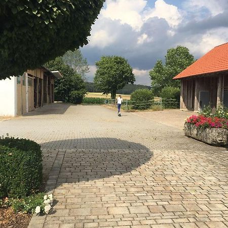Ferienwohnung Baumgartner Ursensollen Екстериор снимка